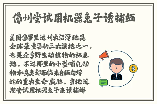 **无码手机在线中文